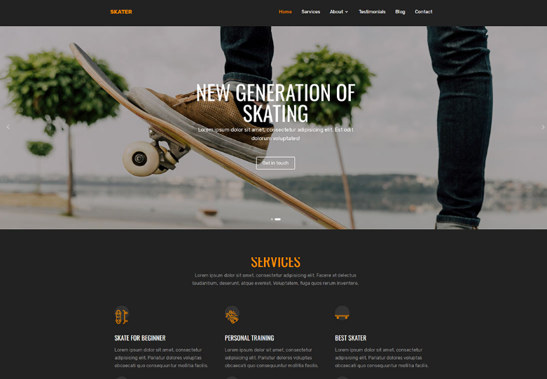 Skater website preview